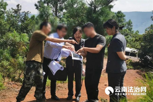 山西省云南楚雄市法院设立“1+4”生态司法保护基地 构筑护航绿水青山法治屏障
